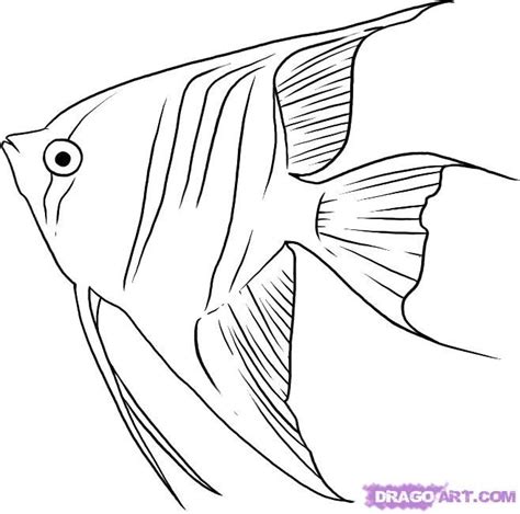 How to draw angelfish step by step - Hundreds of great drawing tuts on this site Fish Coloring ...