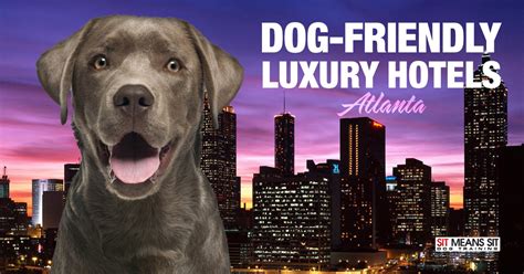 Dog-Friendly Luxury Hotels in Atlanta | Sit Means Sit Atlanta