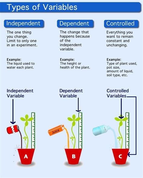 Image result for independent and dependent variables | Science skills ...