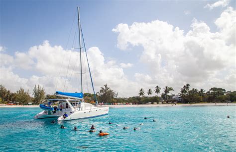 Snorkeling In Carlisle Bay Barbados Stock Photo - Download Image Now - iStock