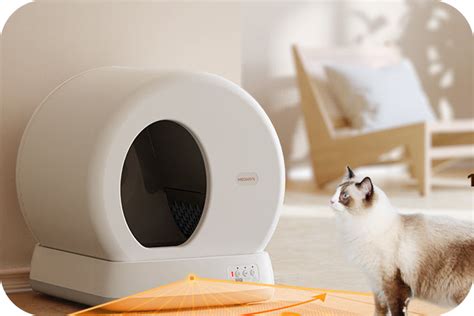 5 Tips for Choosing the Best Litter Box for Odor Control – Meowant