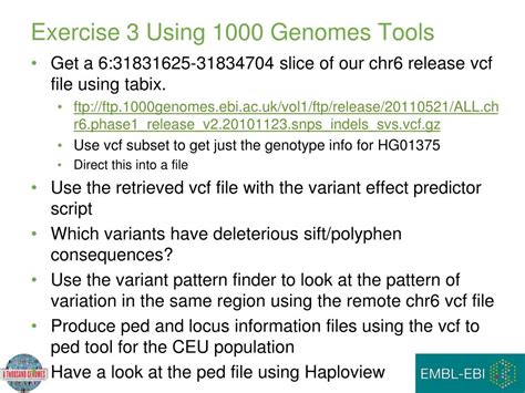 PPT - The 1000 Genomes Project: A Tutorial PowerPoint Presentation, free download - ID:6305980