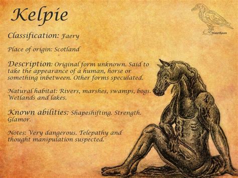 Kelpie, or water kelpie, is the Scots name given to a shape-shifting water spirit inhabiting the ...