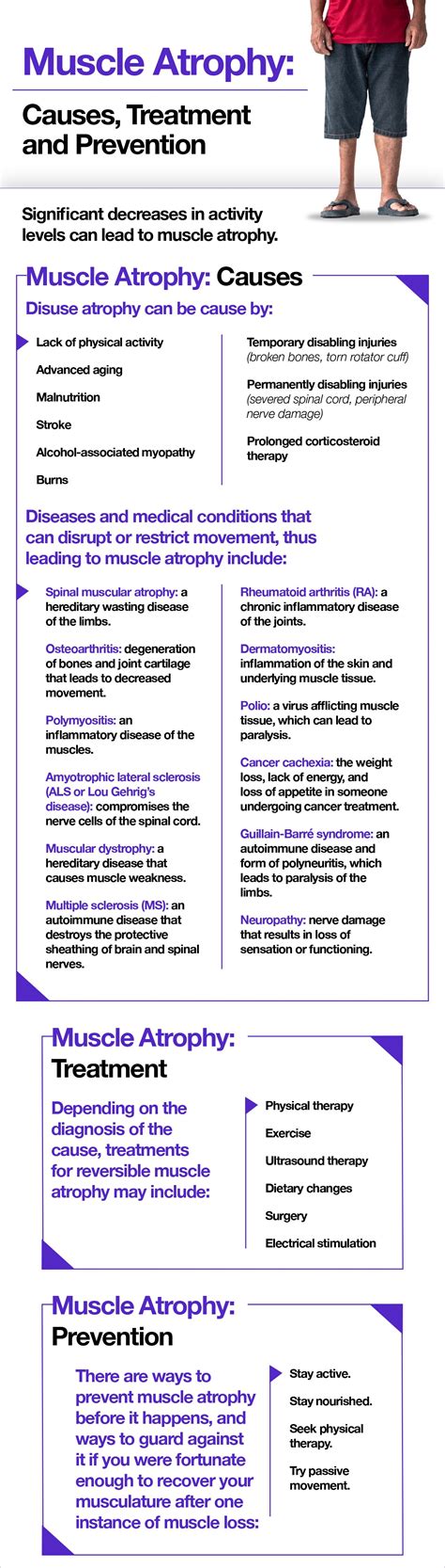 Muscle Atrophy: Causes, Treatment and Prevention – The Amino Company