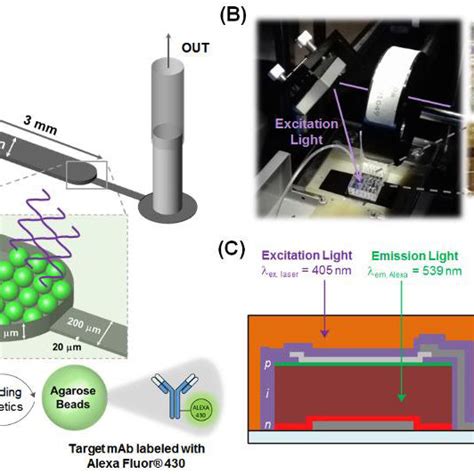 3: Work flow of the Qubit dsDNA HS assay kit. Picture taken from... | Download Scientific Diagram