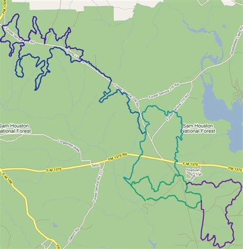 Sam Houston National Forest Map - Maps For You