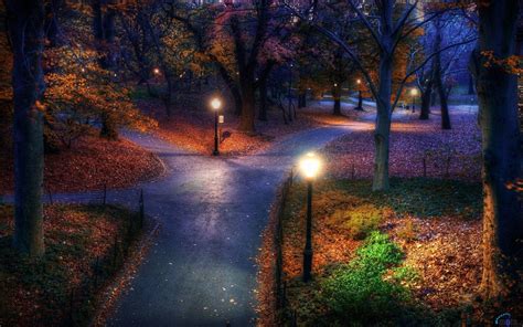 Central Park Fall Wallpaper - WallpaperSafari