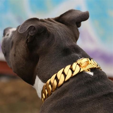 THE KILO | Gold dog collar, Dog collar, Big dog collars