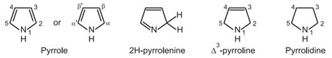 Pyrrole Synthesis - Pharmacy Scope