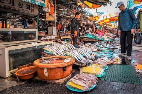 Jagalchi Fish Market, Busan - a delight for the senses - Daily Travel Pill