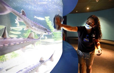 Maritime Aquarium seeks $3.5M to fill COVID-related budget shortfalls