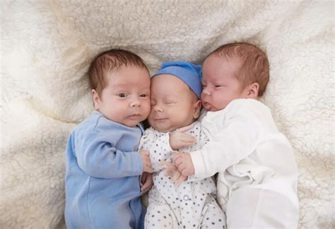 Revealing an impressive birth: Ballina’s triplets (Video) – Galax Daily