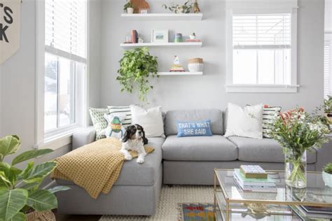 31 Good Apartment Dogs - Best Dog Breeds for Small Homes | Apartment Therapy