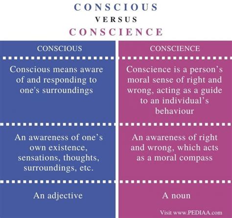 Difference Between Conscious and Conscience - Pediaa.Com