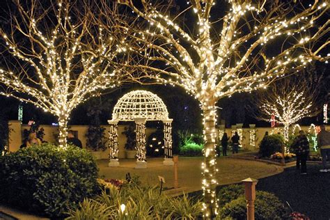 Paradise News Magazine | Holiday Lights in the Gardens is Brighter than Ever Before