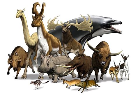 Paleogene Period | Paleontology World | Prehistoric wildlife, Extinct animals, Prehistoric animals