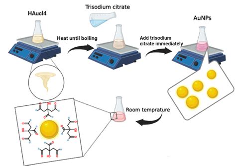 Schematic of gold nanoparticle chemical synthesis. | Download ...