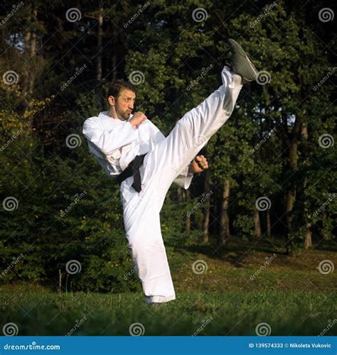 High kick martial arts stock image. Image of combat - 139574333