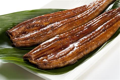 Eel ( unagi ) stock photo. Image of delicacy, asia, isolated - 20808610