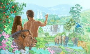 Where did Adam and Eve live? - Christian Faith Guide