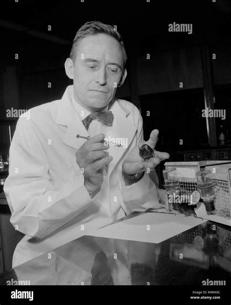 A technician work at an American Cancer Society Research Center at UCLA ...