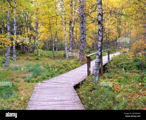 Europe, Germany, Hesse, UNESCO Biosphere Reserve Rhön, Hessian Rhön ...