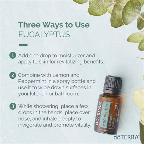 Eucalyptus Oil | dōTERRA Essential Oils