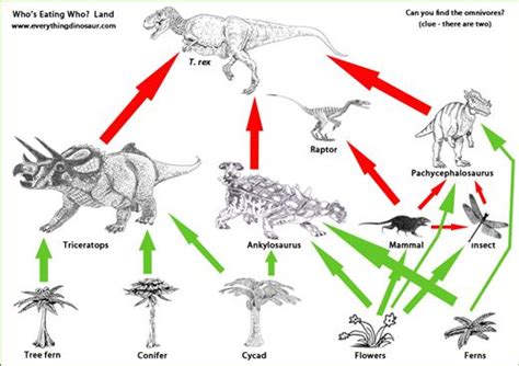 Dinosaur and Other Prehistoric Animal Food Webs | Dinosaur food, Dinosaur, Food web