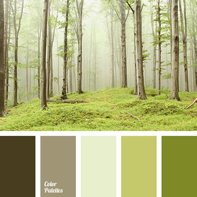 color of forest | Color Palette Ideas