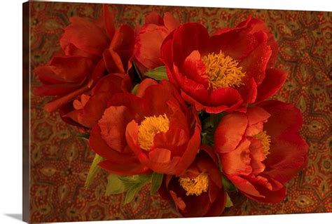 Red Peonies | Great Big Canvas