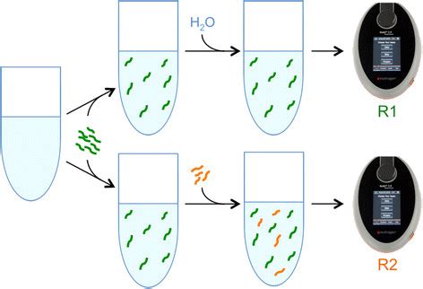 Schematic diagram of the Spike-in Qubit™ RNA HS Assay. RNA spike-in ...