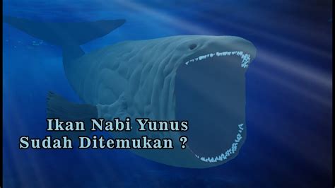 Apakah The Bloop Itu Sebenarnya Ikan Nun Yang Menelan Nabi Yunus? - YouTube