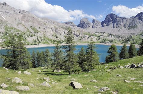 Lake Allos - Stock Image - E590/0282 - Science Photo Library