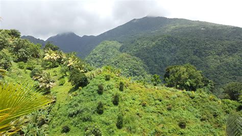 Mountains in Dominica hiking segment 3 of the waitukubuli national trail #hiking #camping # ...