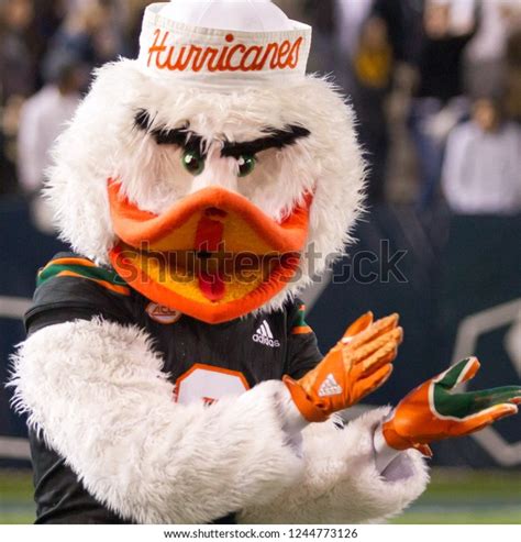 2 University Miami Mascot Images, Stock Photos & Vectors | Shutterstock