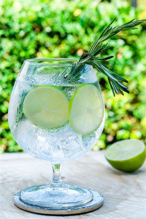 Gin and Tonic Cocktail with Lime and Rosemary Stock Image - Image of ...