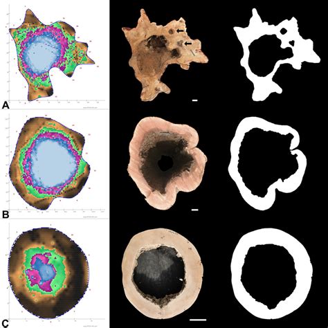 Using the PiCUS Sonic Tomograph 3, the accuracy of sonic tomography was... | Download Scientific ...