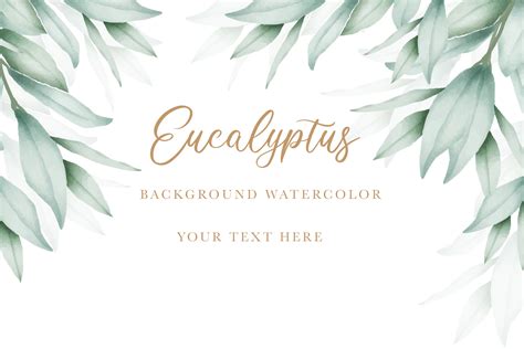 Watercolor Eucalyptus Background Graphic by ningsihretno262 · Creative ...