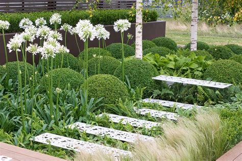 An Attractive Shady Garden with Ferns, Hostas and Agapanthus