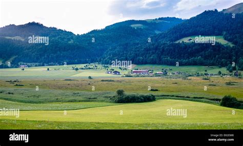 A view over mire wetland in Schwemm, Walchsee Tirol, Austria Stock Photo - Alamy