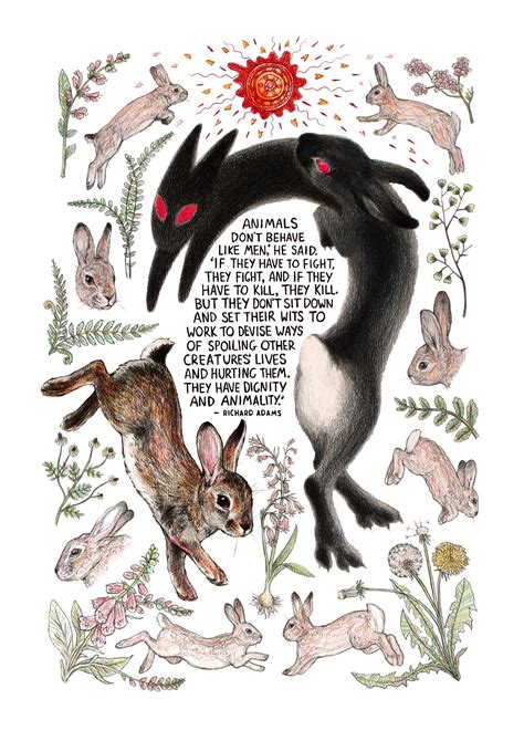 Black Rabbit Watership Down signed Art Print - Etsy