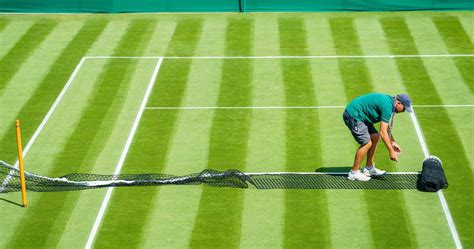 10 questions you have about grass-court tennis: serve and volley ...