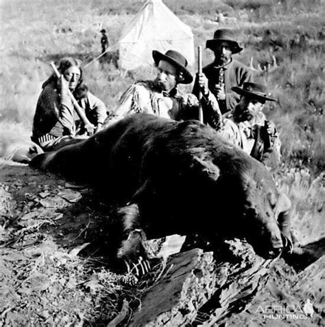 Brown Bear Hunting | AfricaHunting.com