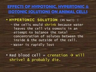 form4(BIOLOGY) chap3 pt2 | PPT