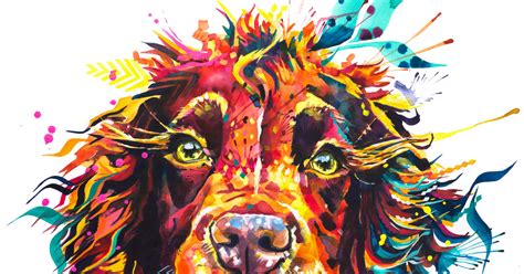 Colourful Highland Cow Painting | Dog Portrait Pet Artist | Animal Art – Sarah Taylor Art