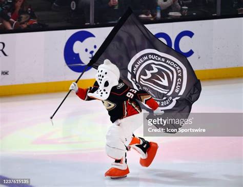 578 Anaheim Ducks Mascot Stock Photos, High-Res Pictures, and Images ...