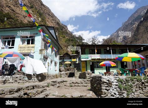 Hotels and houses at Lama Hotel, Langtang Valley, Nepal Stock Photo - Alamy