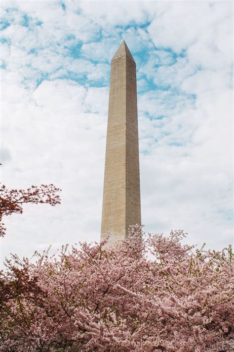 See Photos of Washington, DC's National Mall | Washington monument, Washington travel, Monument