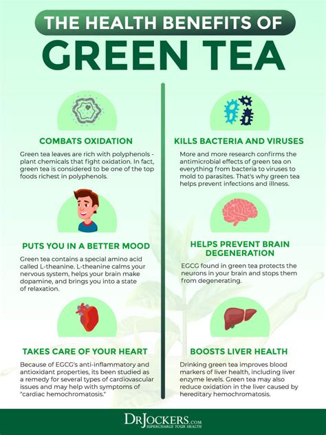 Benefits Of Drinking Green Tea