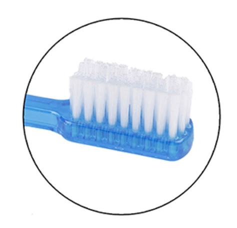 Ortho Brush with Interdental – Gogomed Supplies